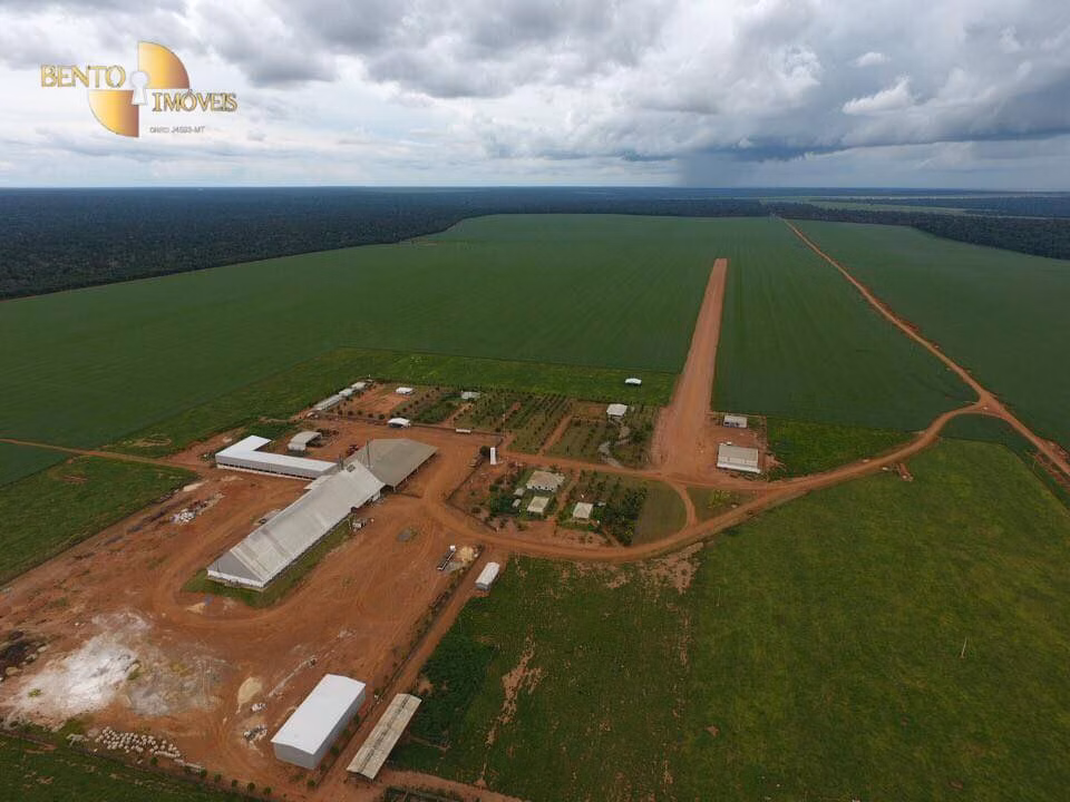 Fazenda de 5.200 ha em Brasnorte, MT