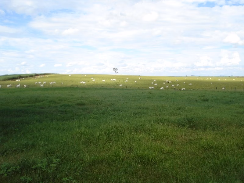 Fazenda de 2.889 ha em Pompéia, SP