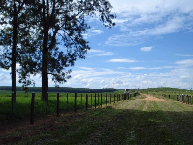 Fazenda de 2.889 ha em Pompéia, SP