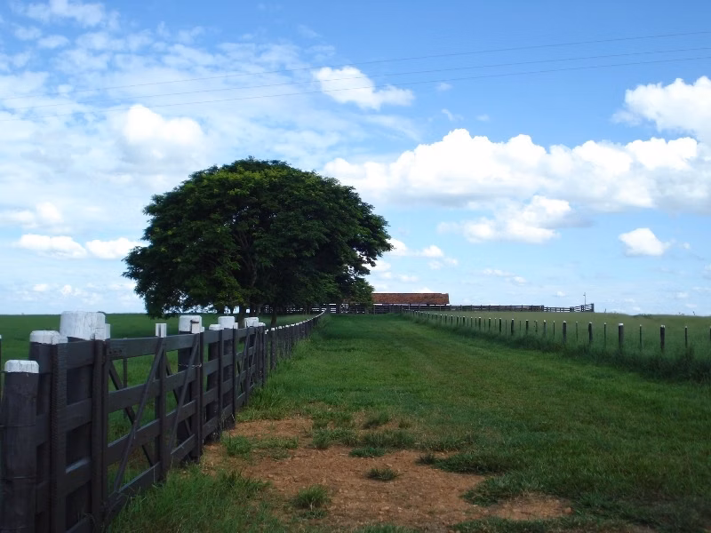 Fazenda de 2.889 ha em Pompéia, SP