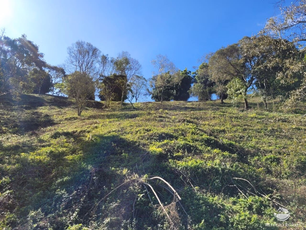 Terreno de 2 ha em Santo Antônio do Pinhal, SP
