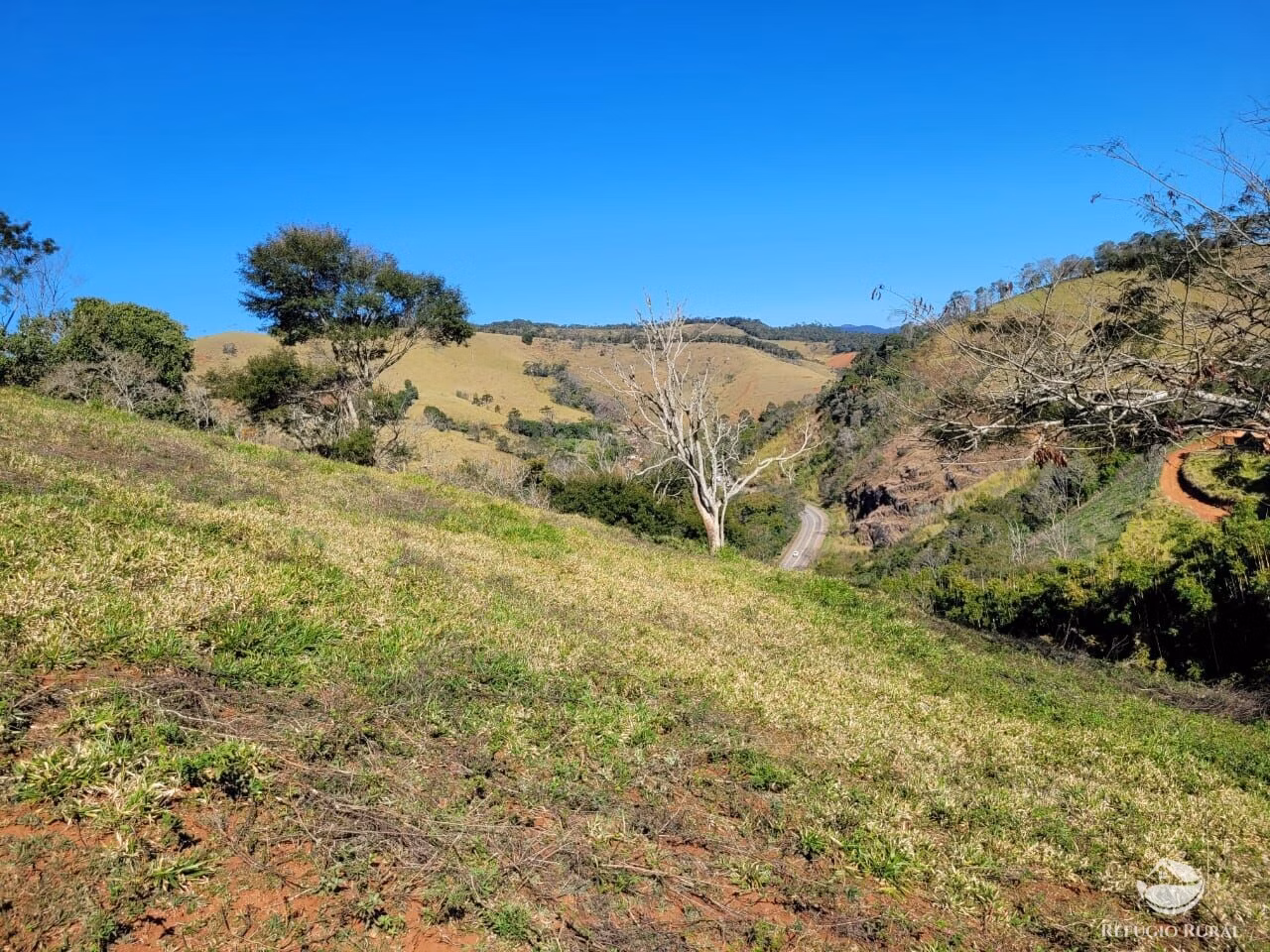 Terreno de 2 ha em Santo Antônio do Pinhal, SP