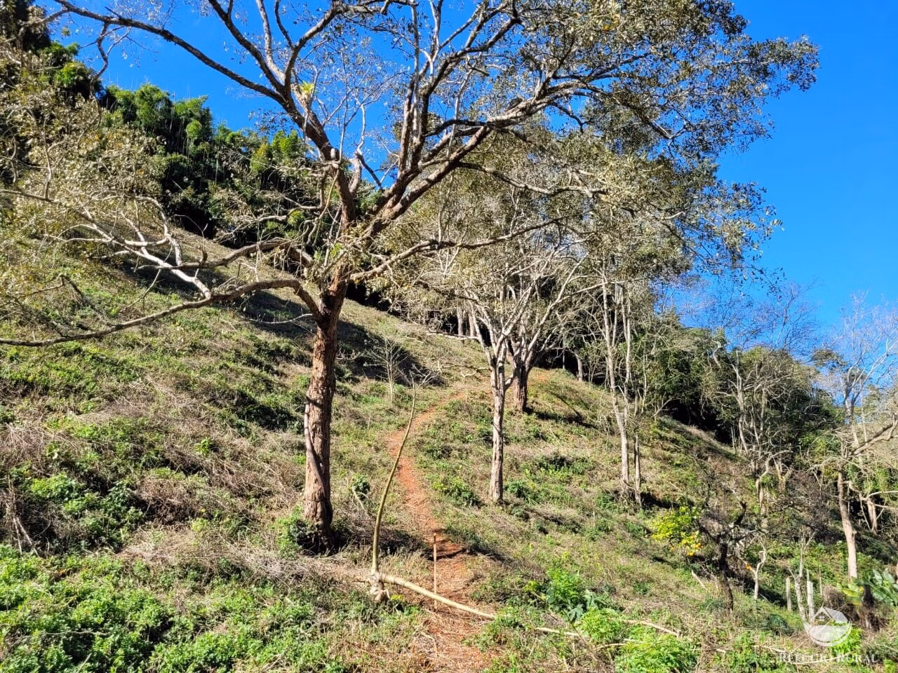 Terreno de 2 ha em Santo Antônio do Pinhal, SP