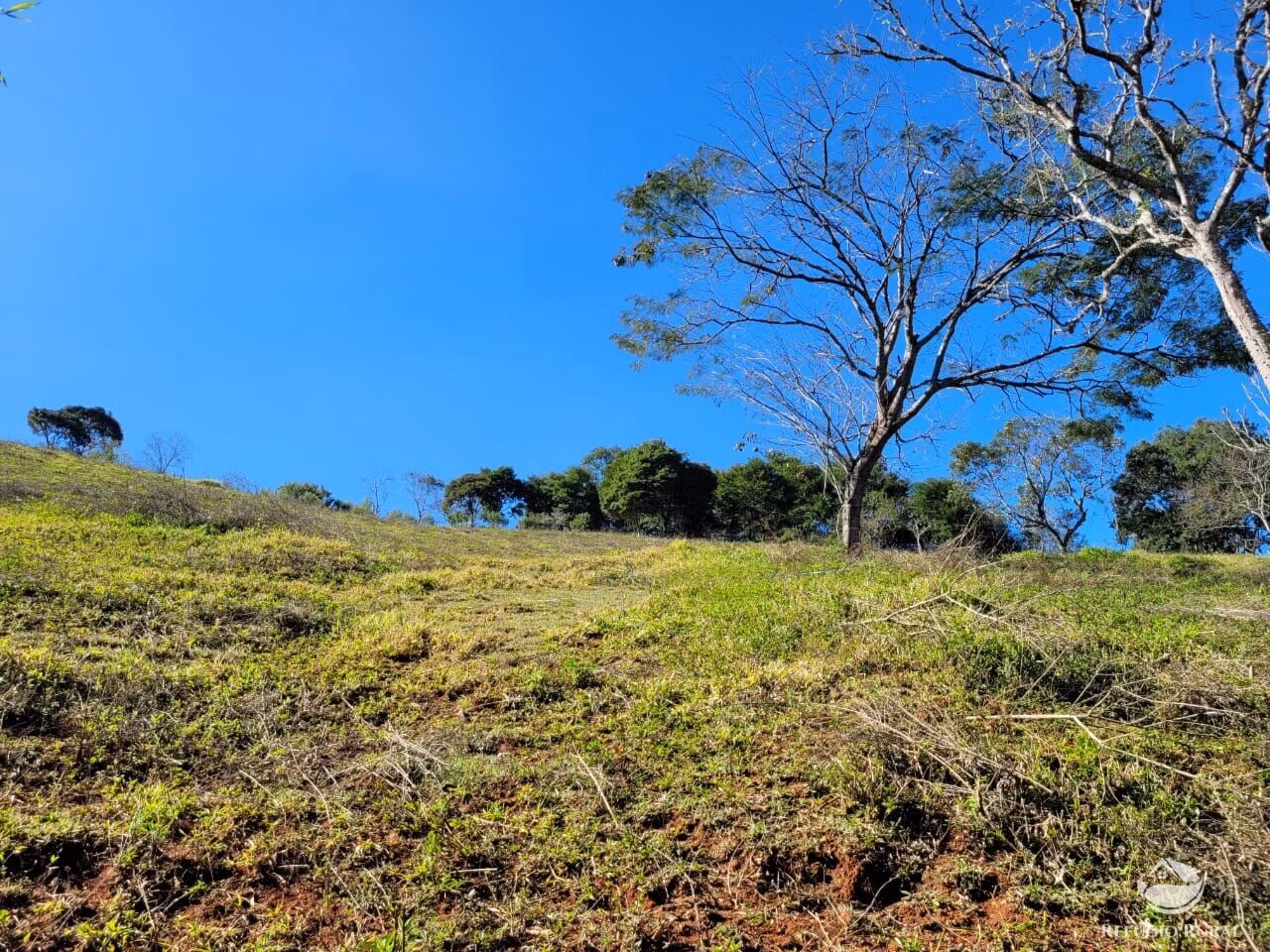 Terreno de 2 ha em Santo Antônio do Pinhal, SP