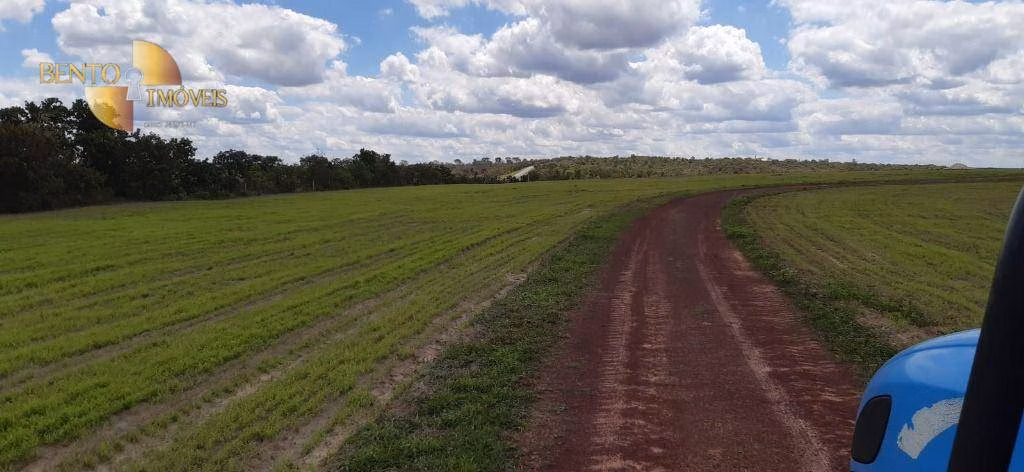 Fazenda de 648 ha em Primavera do Leste, MT