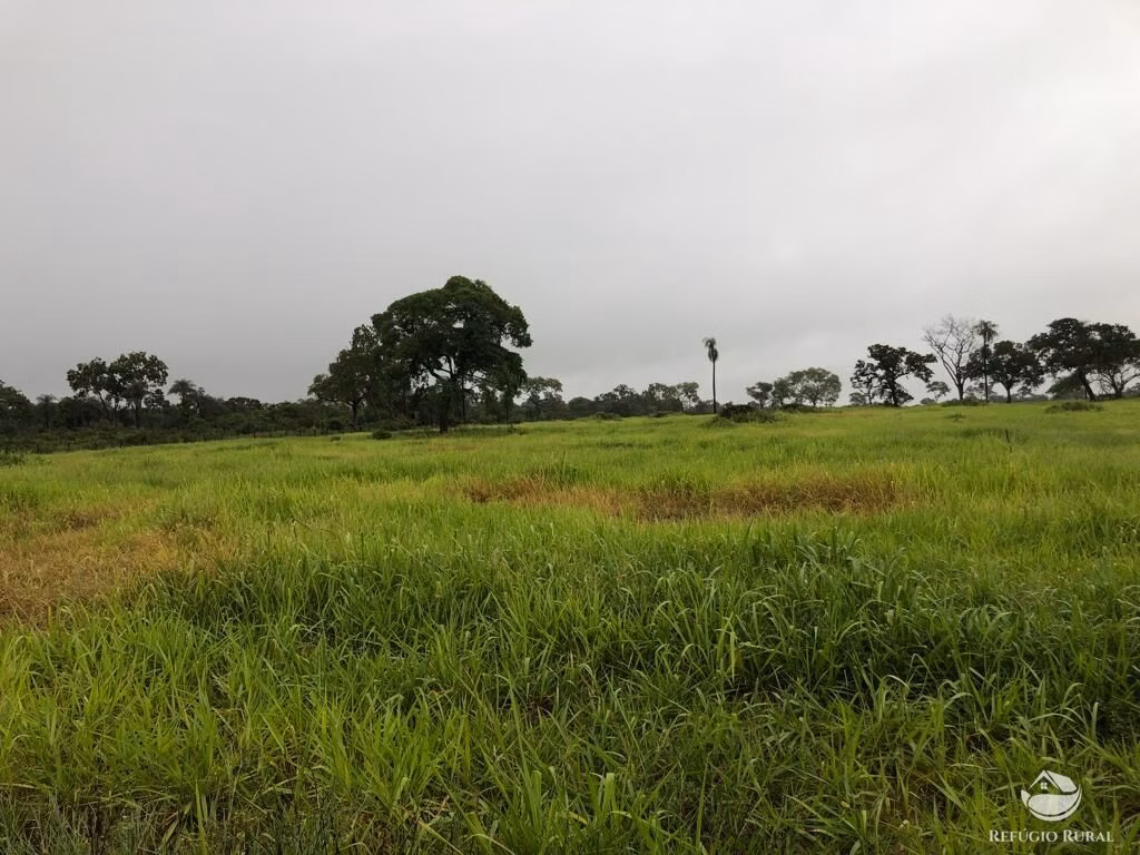 Fazenda de 3.600 ha em Jardim, MS