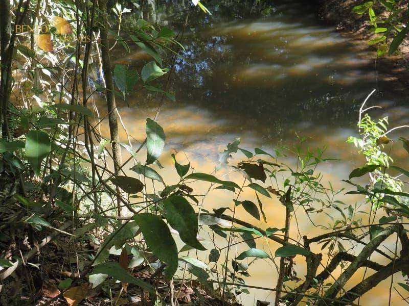 Farm of 2.718 acres in Planalto da Serra, MT, Brazil