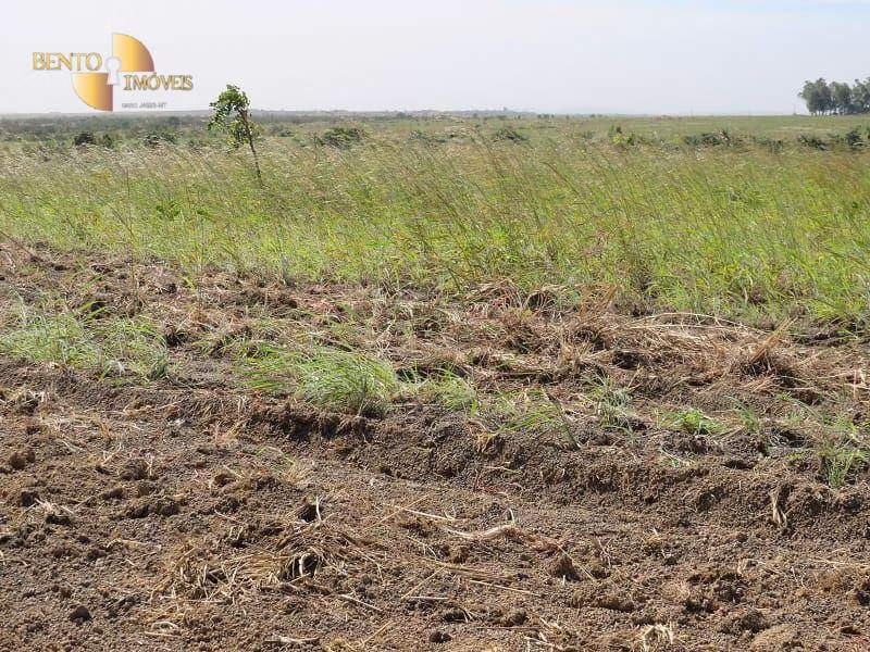 Fazenda de 1.100 ha em Planalto da Serra, MT