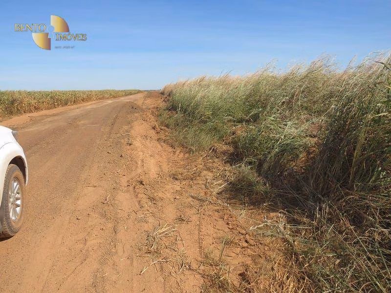 Fazenda de 1.100 ha em Planalto da Serra, MT