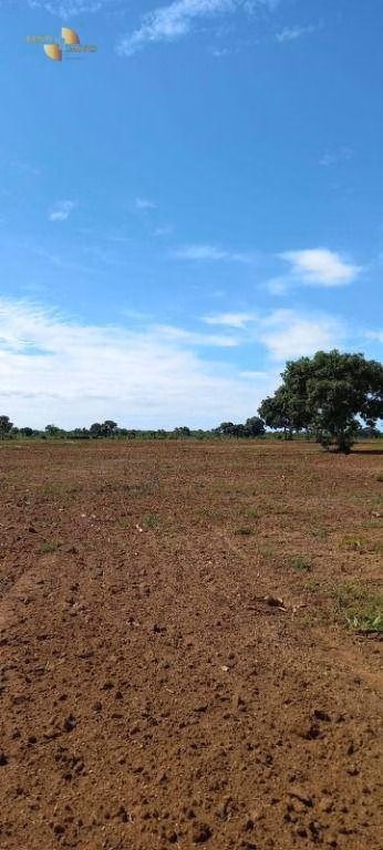 Fazenda de 2.200 ha em Rosário Oeste, MT