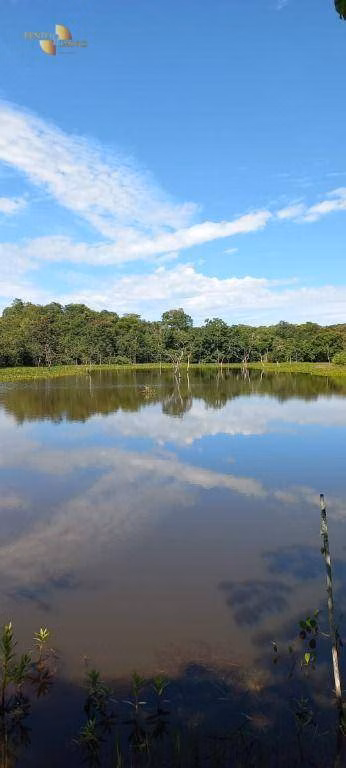 Fazenda de 2.200 ha em Rosário Oeste, MT