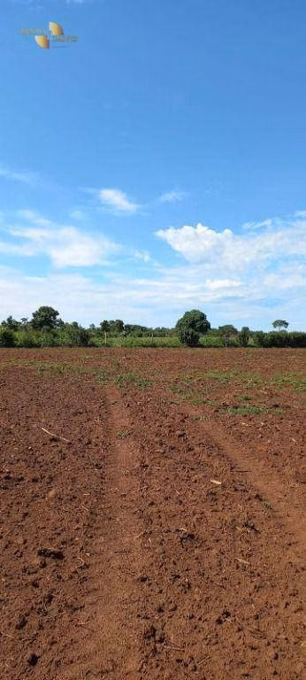 Fazenda de 2.200 ha em Rosário Oeste, MT