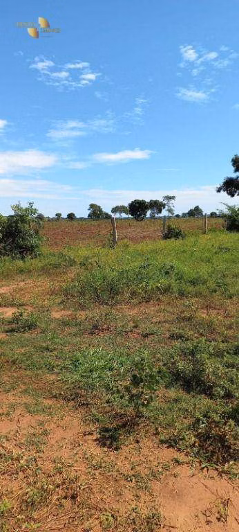 Fazenda de 2.200 ha em Rosário Oeste, MT