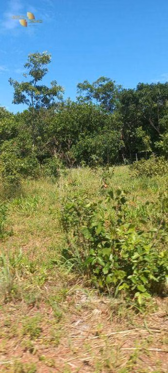 Fazenda de 2.200 ha em Rosário Oeste, MT