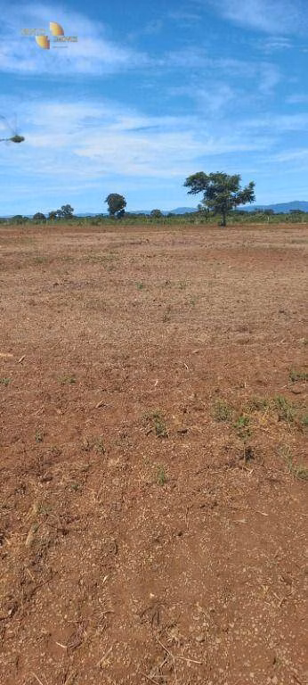 Fazenda de 2.200 ha em Rosário Oeste, MT