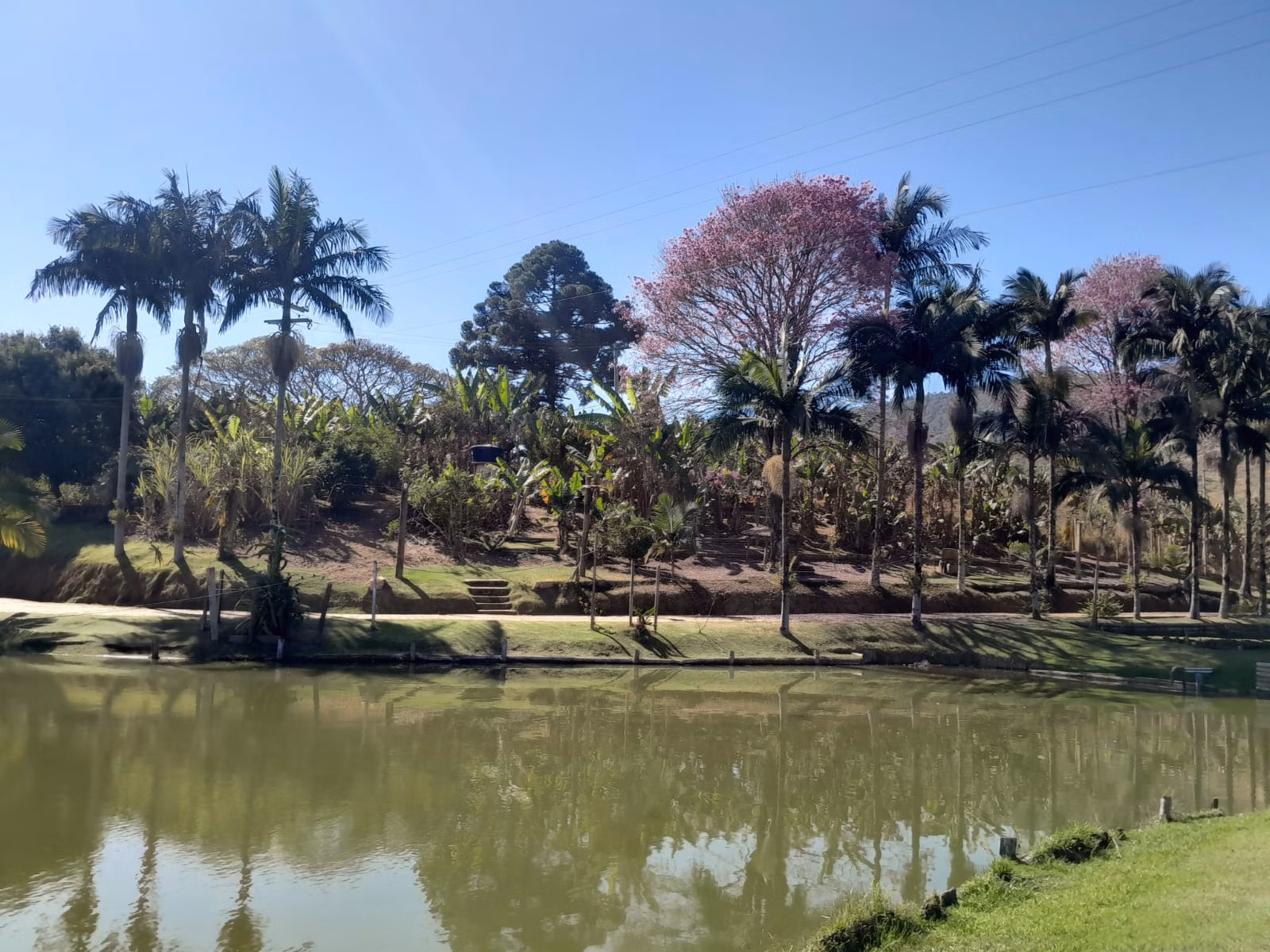 Sítio de 2 ha em Monte Sião, MG