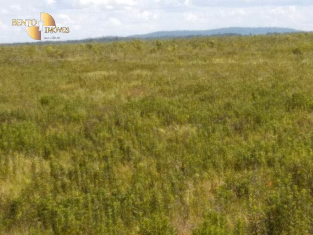 Fazenda de 7.000 ha em Santo Antônio de Leverger, MT
