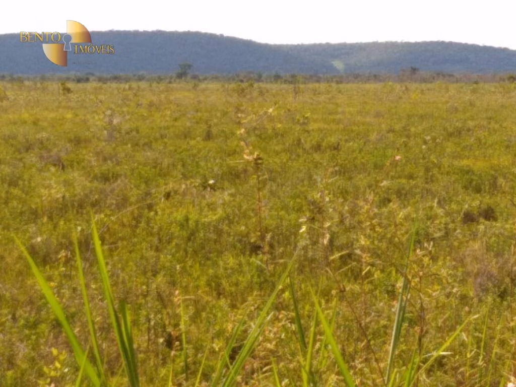 Fazenda de 7.000 ha em Santo Antônio de Leverger, MT