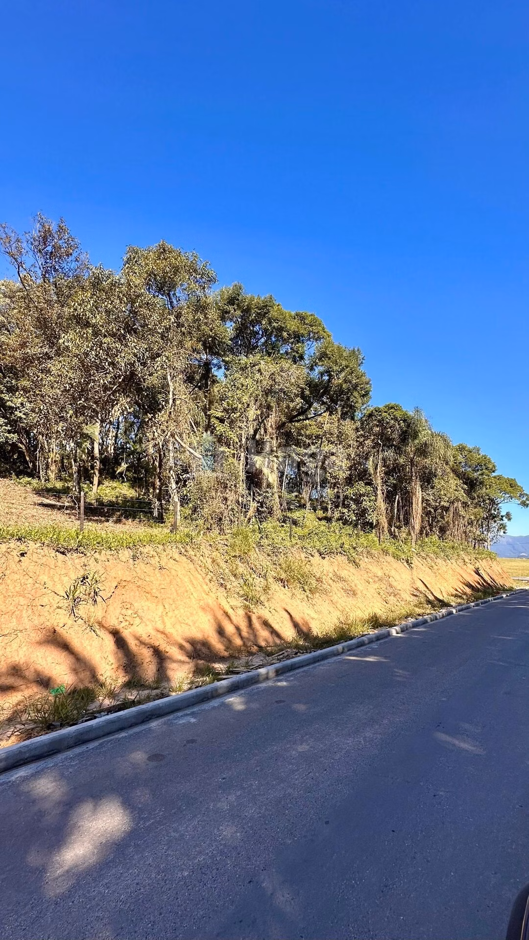 Farm of 4 acres in Canelinha, SC, Brazil