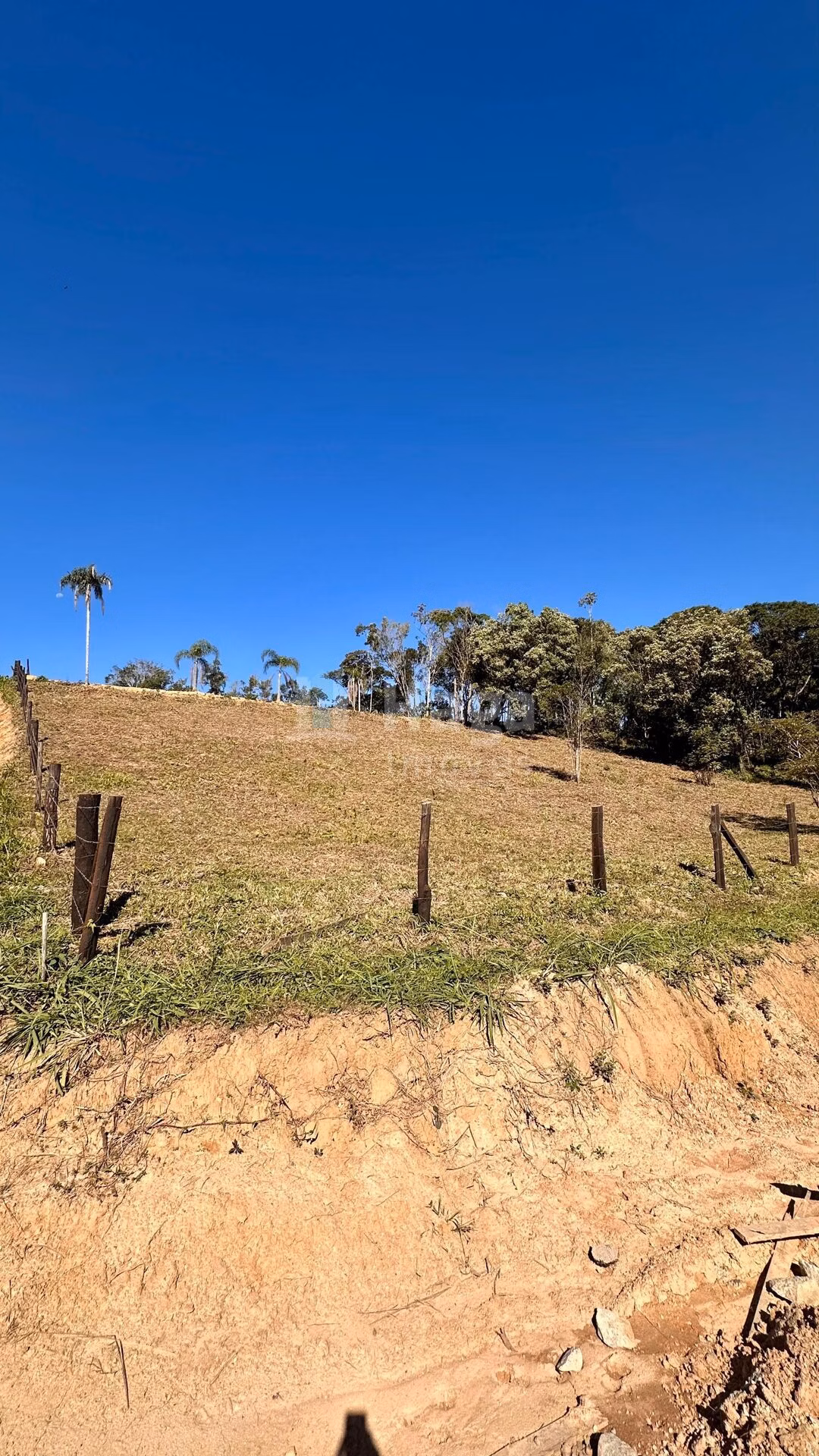 Farm of 4 acres in Canelinha, SC, Brazil