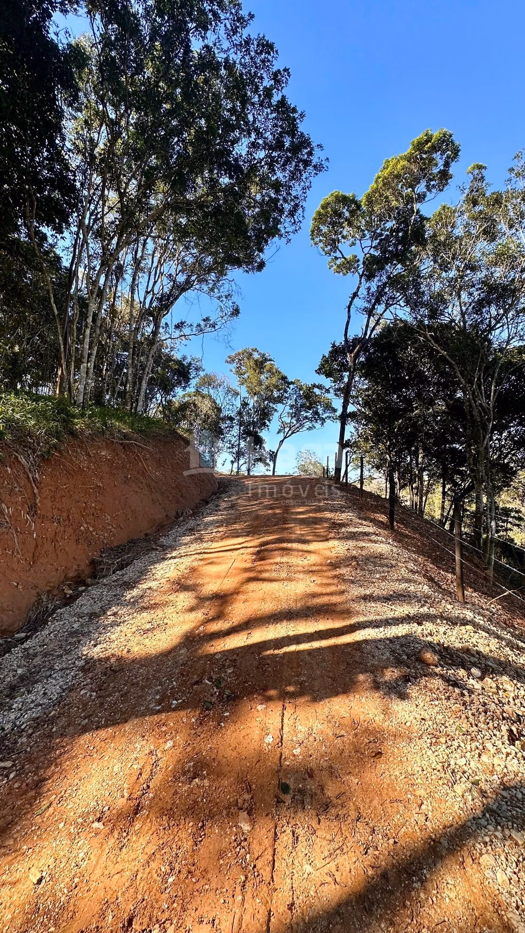 Farm of 4 acres in Canelinha, SC, Brazil