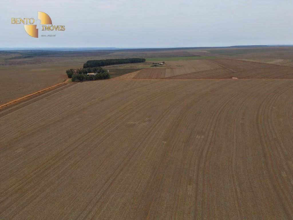 Farm of 598 acres in Jangada, MT, Brazil