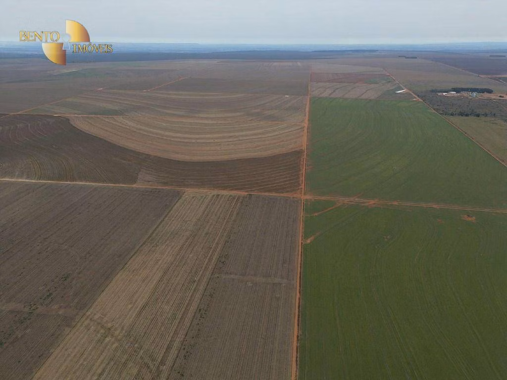 Farm of 598 acres in Jangada, MT, Brazil