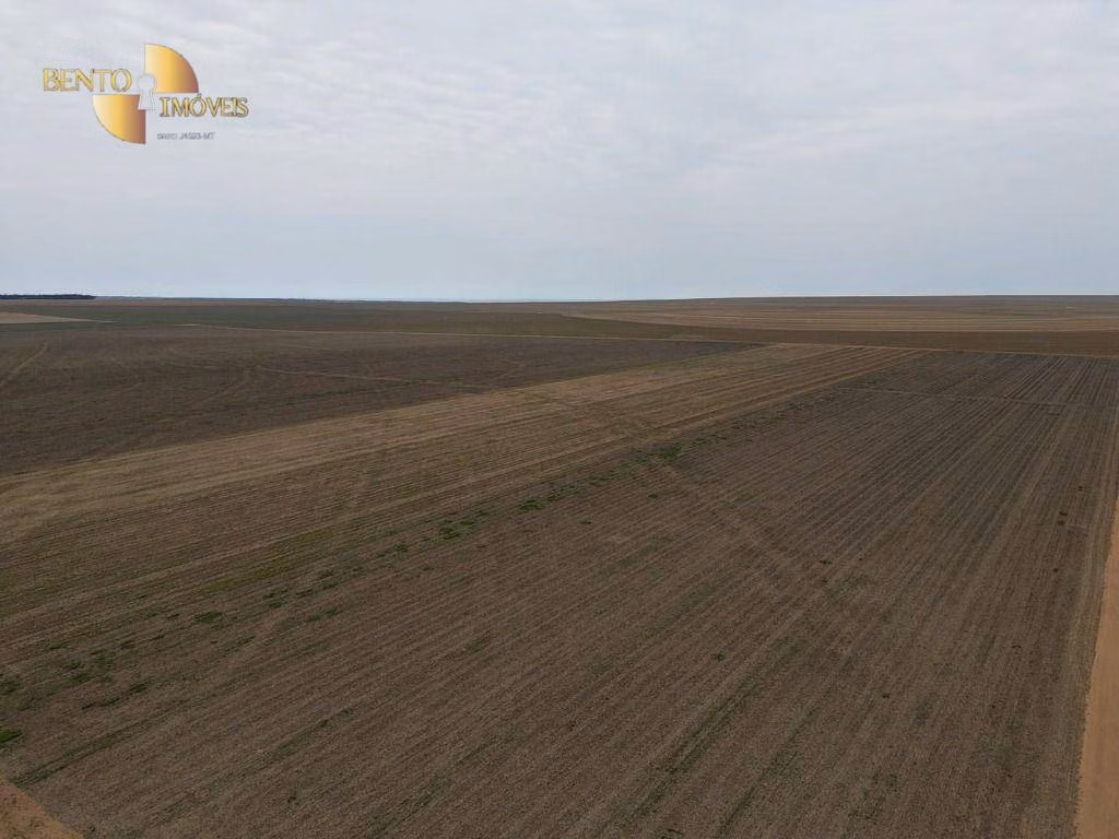 Farm of 598 acres in Jangada, MT, Brazil