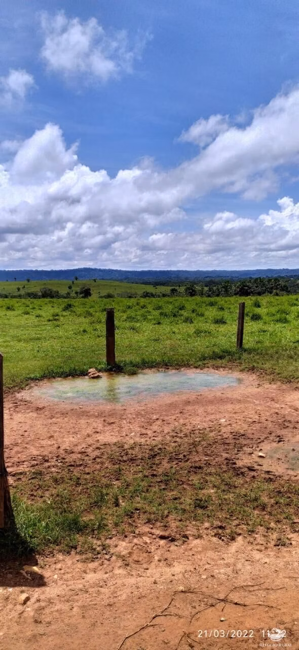 Fazenda de 3.700 ha em Nova Lacerda, MT