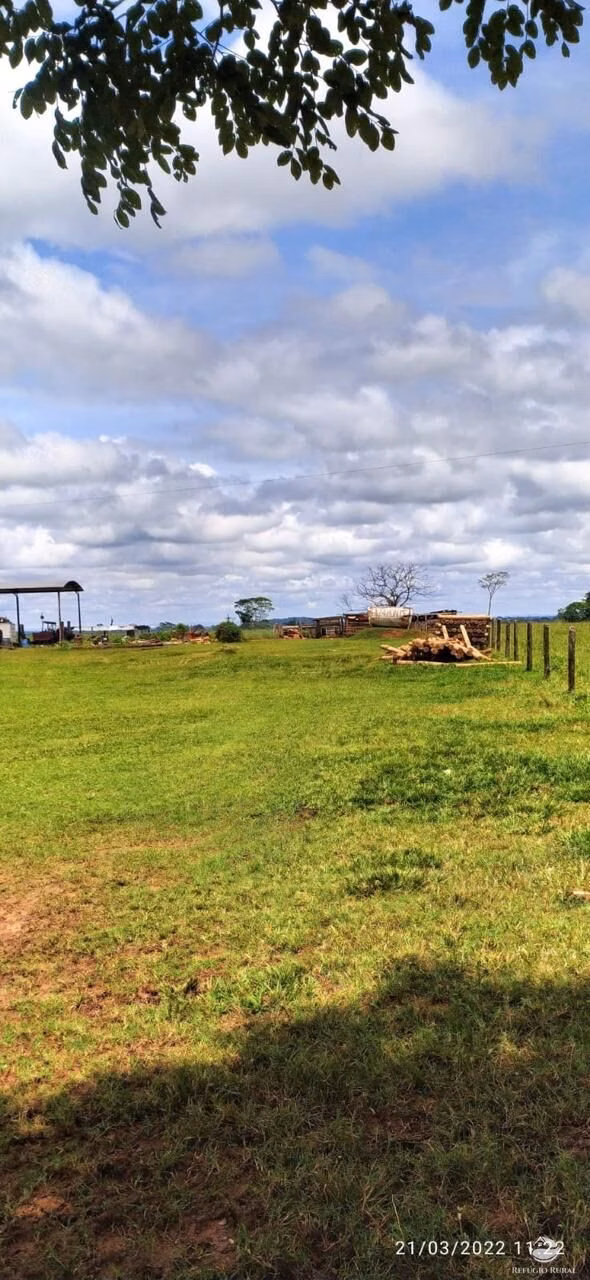 Fazenda de 3.700 ha em Nova Lacerda, MT