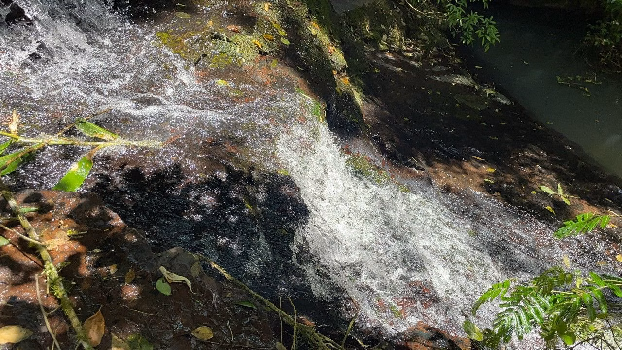 Chácara de 2 ha em Santo Antônio da Patrulha, RS
