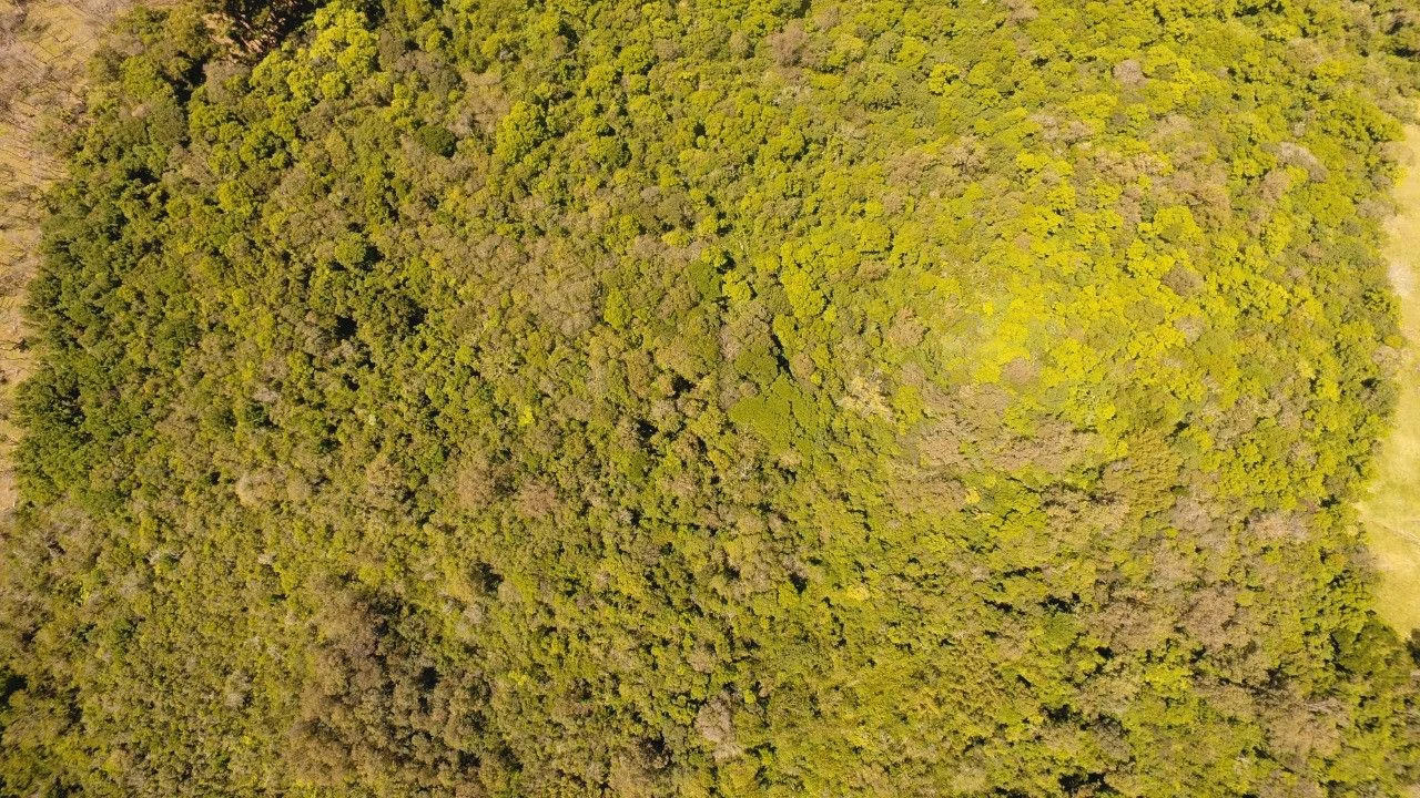 Chácara de 2 ha em Santo Antônio da Patrulha, RS
