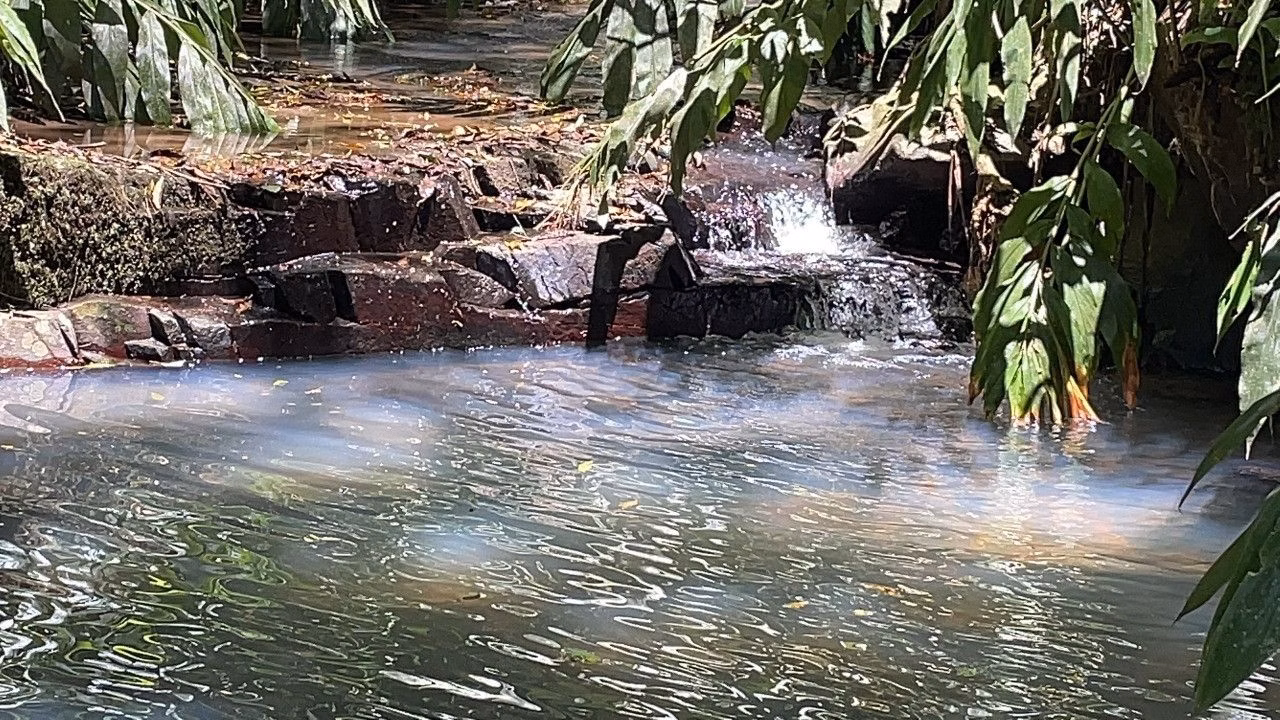 Chácara de 2 ha em Santo Antônio da Patrulha, RS