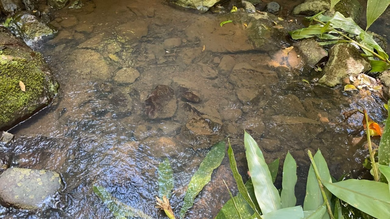 Chácara de 2 ha em Santo Antônio da Patrulha, RS