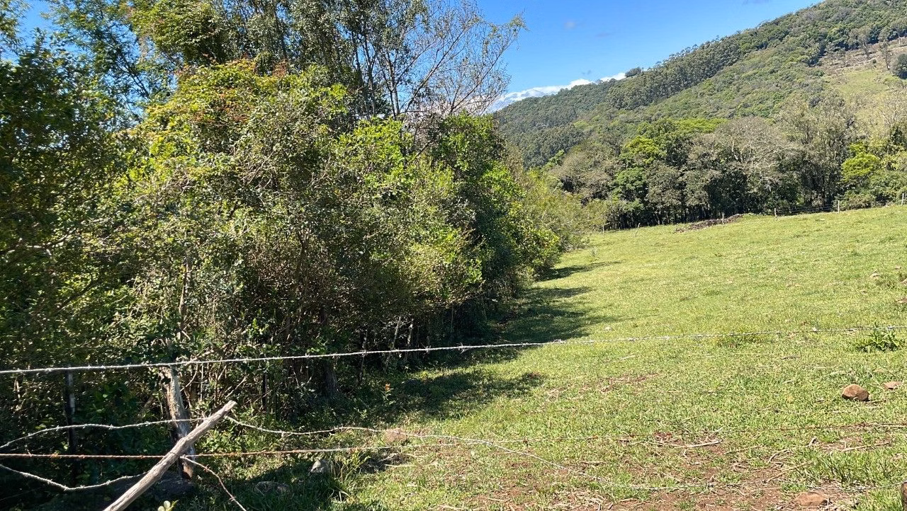 Chácara de 2 ha em Santo Antônio da Patrulha, RS