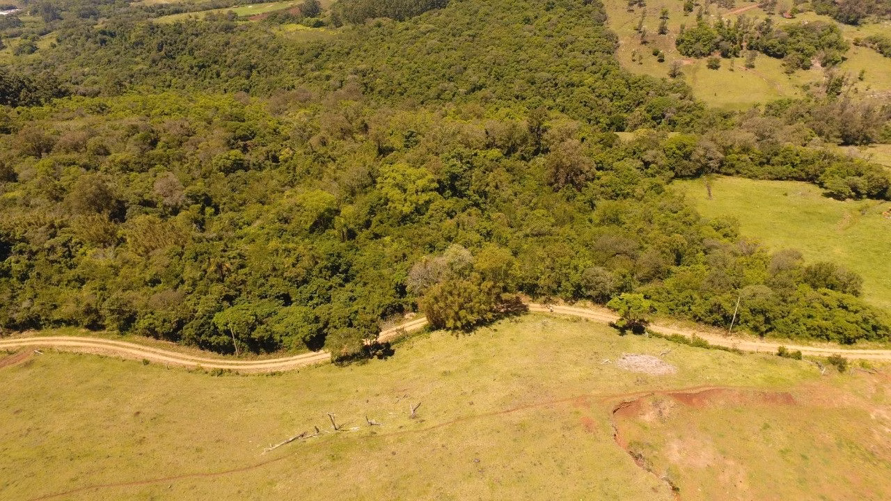 Chácara de 2 ha em Santo Antônio da Patrulha, RS