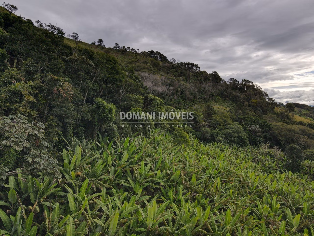 Plot of 1,890 m² in Campos do Jordão, SP, Brazil