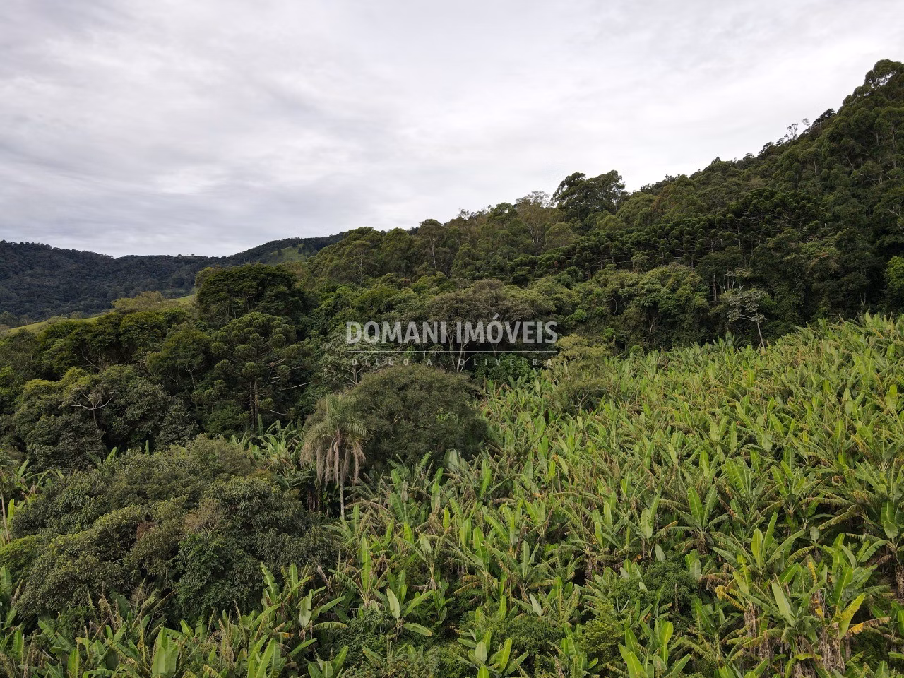 Plot of 1,890 m² in Campos do Jordão, SP, Brazil