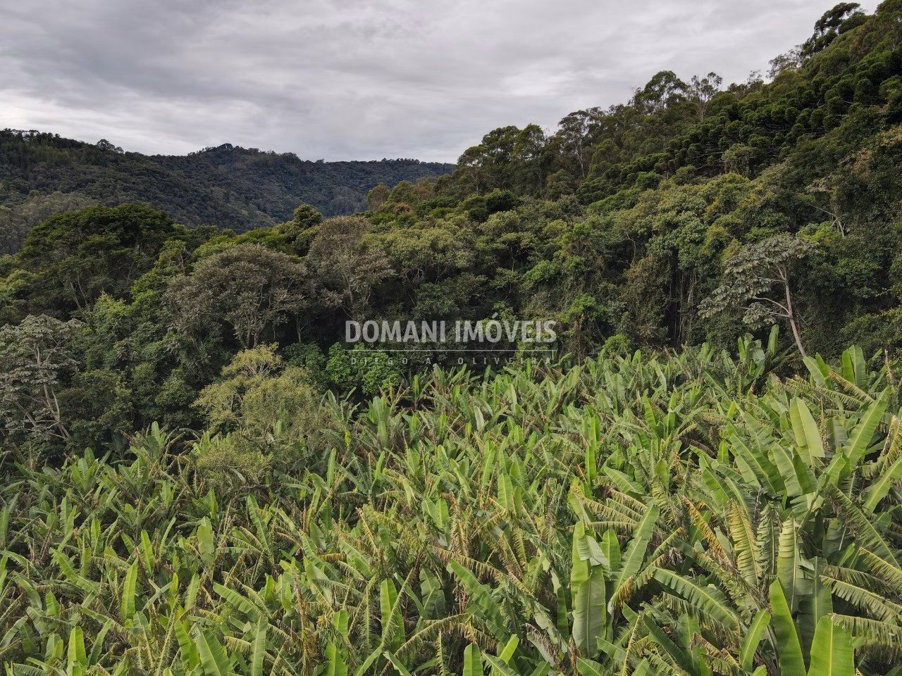 Plot of 1,890 m² in Campos do Jordão, SP, Brazil