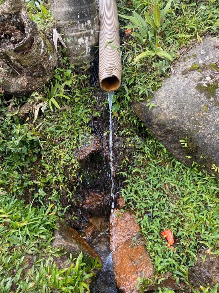 Fazenda de 19 ha em Nova Trento, SC