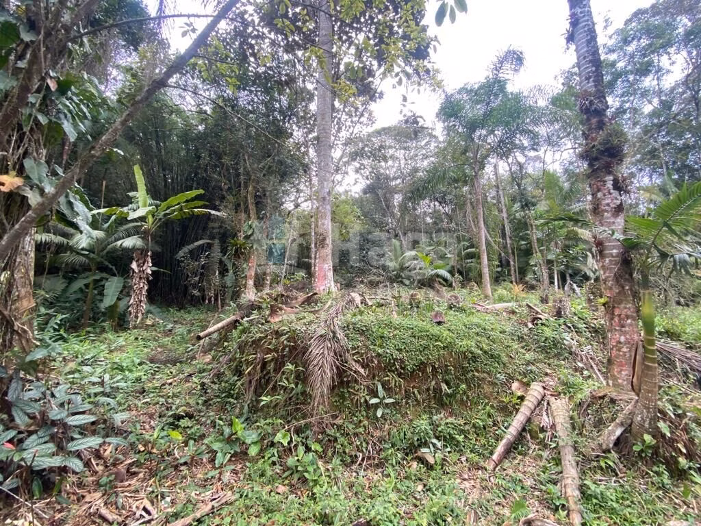 Fazenda de 19 ha em Nova Trento, SC