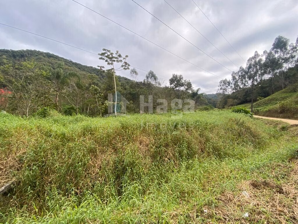 Fazenda de 19 ha em Nova Trento, SC