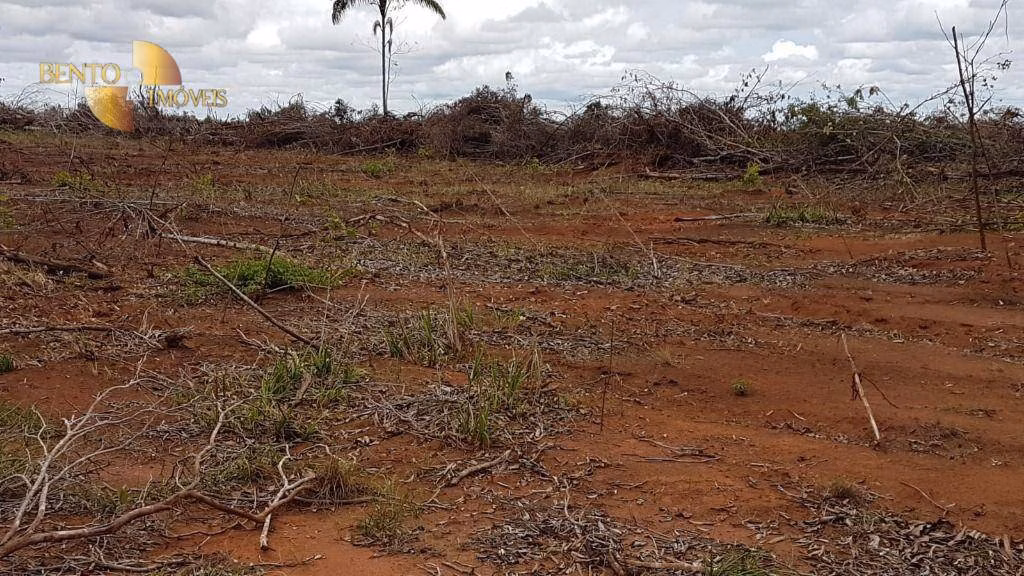 Fazenda de 2.095 ha em Nova Mutum, MT