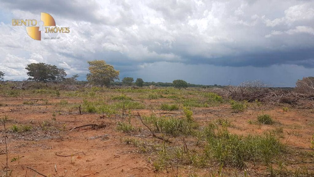 Fazenda de 2.095 ha em Nova Mutum, MT