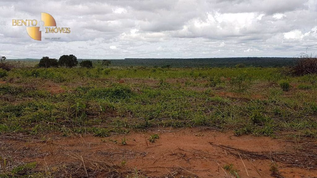 Fazenda de 2.095 ha em Nova Mutum, MT