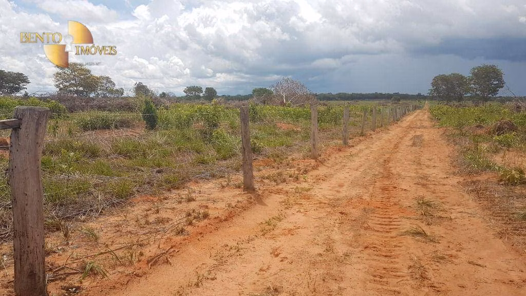 Fazenda de 2.095 ha em Nova Mutum, MT