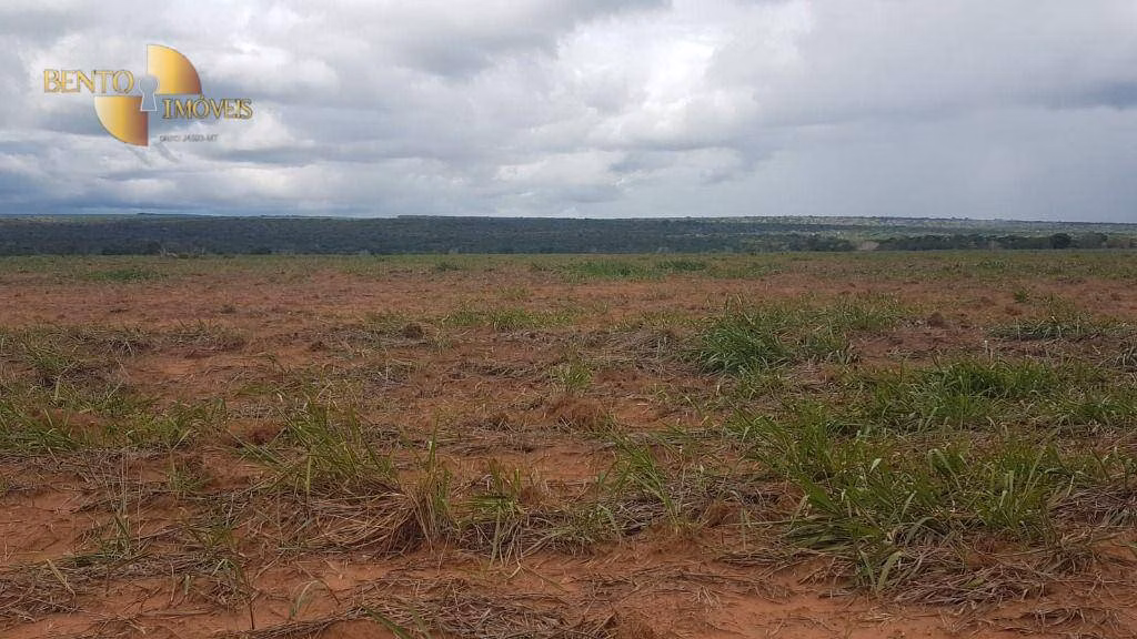 Fazenda de 2.095 ha em Nova Mutum, MT