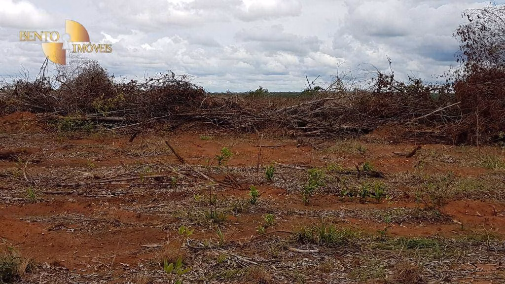Fazenda de 2.095 ha em Nova Mutum, MT
