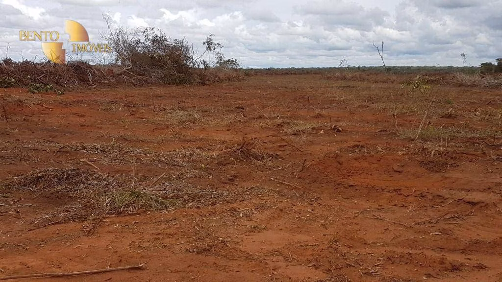 Fazenda de 2.095 ha em Nova Mutum, MT