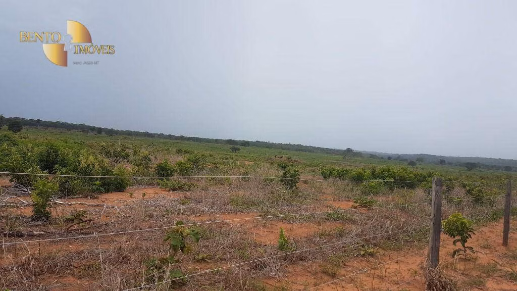 Fazenda de 2.095 ha em Nova Mutum, MT